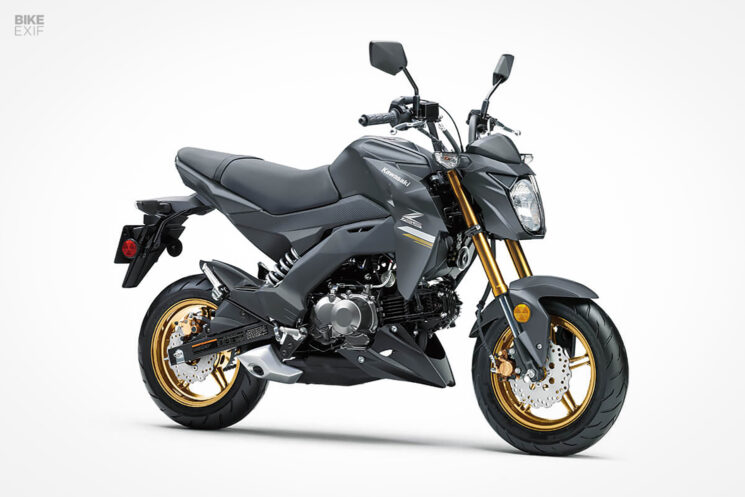 2024 Kawasaki Z125 Pro